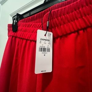 Express Palazzo/dress pants NWT